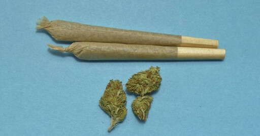 德國國會批准娛樂大麻使用法案 個人最多可種植3株、持有25公克