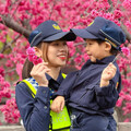 櫻花季賞櫻配正妹女警 民眾到現場失望問人呢？