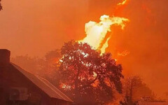澳洲森林大火3萬人撤離 當局：有災難性危險