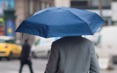 雨傘被偷到煩！他在傘柄貼「防盜貼紙」540萬網友讚爆