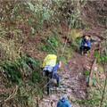 登山意外！三峽登山社阿里山露營傳失足 6旬婦跌50米邊坡不幸身亡