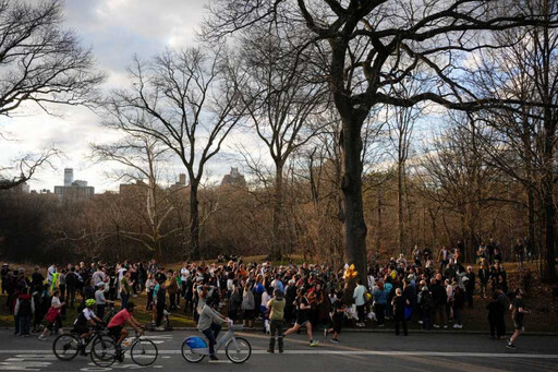 從動物園投奔自由 紐約中央公園人氣貓頭鷹驟逝…粉絲聚集哀悼