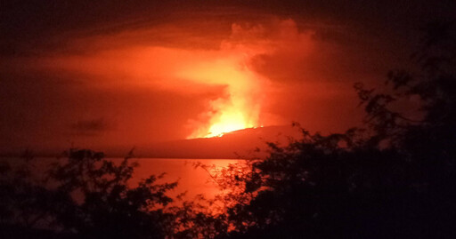 厄瓜多動物海島天堂火山爆發 恐威脅當地獨特野生動物