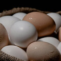 蛋雞已減少6萬隻！ 蛋商公會稱「產銷還算平衡」：蛋價調降逐漸帶動買氣