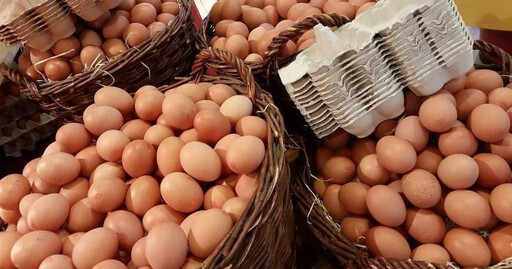 蛋雞投產數量過低！清明連假蛋價下不來 北市蛋商公會：暫不調整