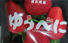日本草莓又驗出農藥殘留 食藥署︰472公斤全銷毀「4月放寬4項農藥殘留標準」