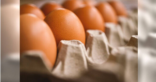 清明節後買氣未回升！ 本周雞蛋價格仍維持每台斤49元