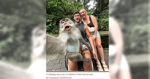 靈長類也愛自拍？2遊客驚喜合照 他出版照片卻遭告「侵犯獼猴權利」