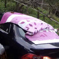 台中女警追查竊車慘遭拖行受傷 逮捕時嫌犯竟還用棉被蓋車睡大頭覺
