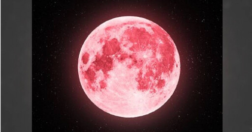 今晚7時22分！ 「粉紅月亮」現身馬來西亞