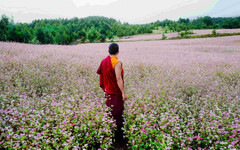 拍到40年一見奇蹟美景 《不丹沒有槍》導演捐款建佛塔幫喇嘛圓夢