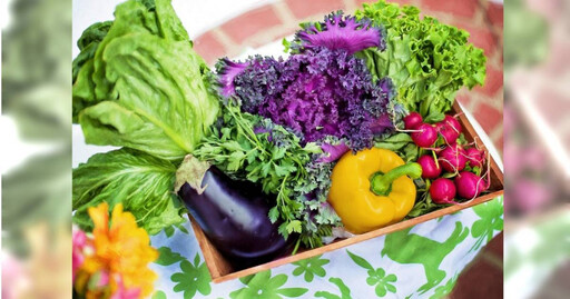 「一分鐘」簡單自我檢查 7種表現說明你蔬菜沒吃夠！