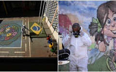 巴西建「蚊子工廠」對抗登革熱 每年生5億隻