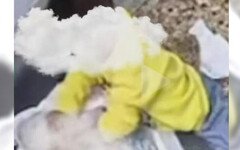 2歲男童拿毛巾摀新生兒妹妹臉！被發現瞬間裝無辜 媽媽：可能是覺得好玩