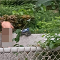 三重阿北公園裸身「摳屁洗澡」！ 民眾嘆：不想讓孩子看到「髒東西」