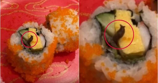 壽司有活蛞蝓 「全球首例感染在台灣」食用可致命 衛生局揭稽查結果
