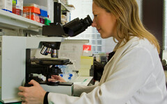 有別於化療！ 科學家實驗發現「SLFN11基因」：全新癌細胞死亡方式