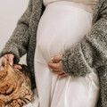 孕婦對貓毛過敏 竟被愛貓尪嗆體質差：是我的問題？ 她愛火熄滅心超寒