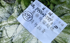 4月批發市場蔬果農藥殘留不合格銷毀3.6萬公斤 「這3蔬菜」超標最多！