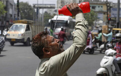 印度高溫破50度熱死2百人 40隻猴子「跳井找水喝」全溺斃