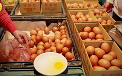 蛋價慘跌卻不見買氣回升 農業部長呼籲「早餐店應調降」
