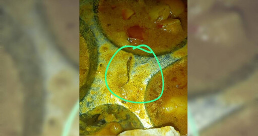 印大學餐廳食物出現「死蛇碎片」 11名學生食物中毒！負責人遭罰款