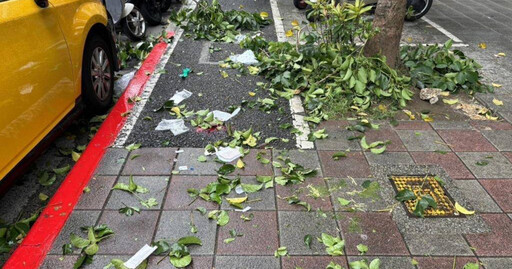 中山區住商大樓墜樓意外！ 50歲女子砸路樹重摔人行道不幸身亡