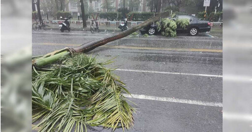 雨彈狂轟！水利署公告高雄、台南「淹水警戒」 路樹倒塌砸中車輛