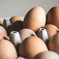 蛋價低過成本！不滿飼料太貴 全台雞農號召8月1日集結抗議