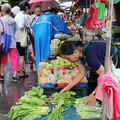 颱風天搶購蔬菜…民眾買好市多1款高麗菜「口感很怪」 過來人揭真相