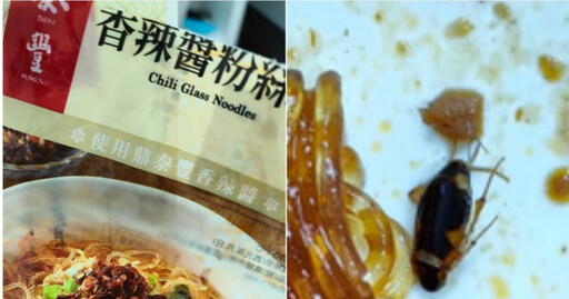 買超商鼎泰豐料理包…吃到一半「蟑螂躺粉絲旁」！ 她狂反胃：差點沒吐死