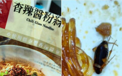 買超商鼎泰豐料理包…吃到一半「蟑螂躺粉絲旁」！ 她狂反胃：差點沒吐死