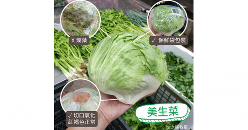 烤肉需求大增「美生菜價格飆漲」 專業菜販：洗乾淨才食用