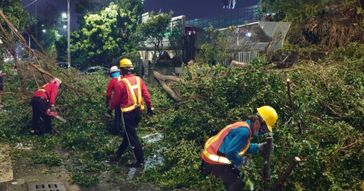 山陀兒災後重建！高雄救助金「路樹壓損汽機車」未列入 公園處回應了