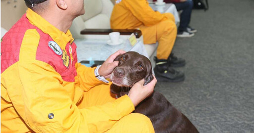 找到新家了！北市退役搜救犬Uny歡喜搬新家