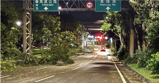 颱風過後災情慘！無名英雄清路樹「突脫口1句」…他眼眶紅了