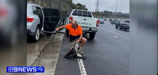 車裡面有蛇！她開在高速公路上 低頭驚見「世界最毒蛇」往腿上爬