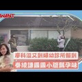 廖科溢又到婦幼診所報到 秦綾謙圓圓小腹飄孕味