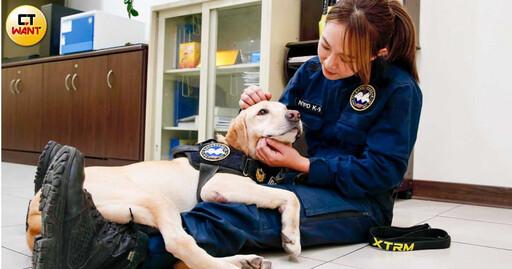 新北6警犬光榮退役！人氣王「福星」立功無數 呆萌模樣甜翻眾人