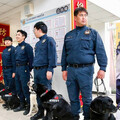 新北6警犬光榮退役！人氣王「福星」立功無數 呆萌模樣甜翻眾人