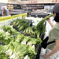 菜價降了！葉菜類今「每斤20元起」 農糧署：年節期間供應無虞