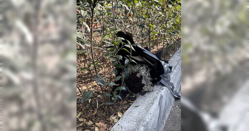 心痛的感覺！公園見「黑玫瑰」花束被丟路邊 內行人揭1關鍵：壓力山大