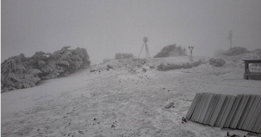 快訊／玉山、合歡山降下3月雪！直擊銀白大地夢幻美景