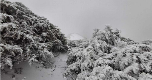 快訊／玉山、合歡山降下3月雪！直擊銀白大地夢幻美景