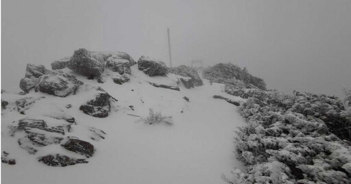 快訊／玉山、合歡山降下3月雪！直擊銀白大地夢幻美景