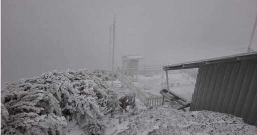 快訊／玉山、合歡山降下3月雪！直擊銀白大地夢幻美景