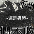 北市動物園收陌生信件！打開驚見「詭異黑顆粒」 園方揭傻眼真相