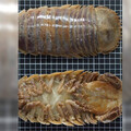 西沙群島海域新物種現蹤！ 台南大學曝光「西沙深水虱」
