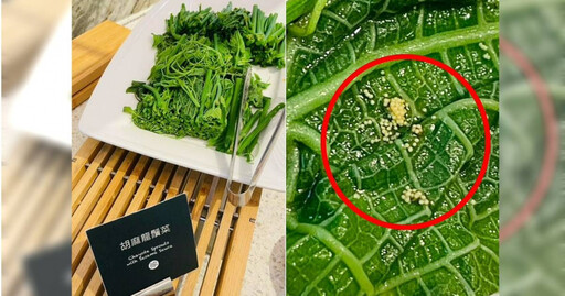 高雄某5星飯店早餐驚見數粒蟲卵 民眾憂食安把關不當!業者致歉並已和解