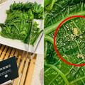 高雄某5星飯店早餐驚見數粒蟲卵 民眾憂食安把關不當！業者致歉並已和解